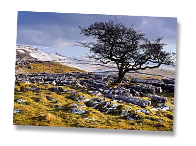 Limestone Country near Langcliffe - Winter - Click to view or buy this customisable greeting card