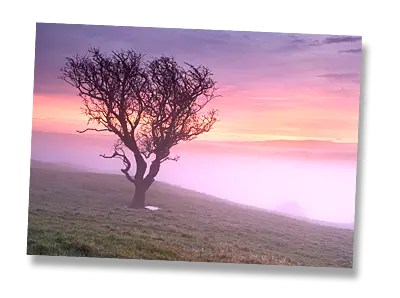 Misty Sunrise, The Helm, Cumbria - Click to view or buy this customisable greeting card