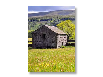 Summer Meadow - Wharfedale - Click to view or buy this customisable greeting card